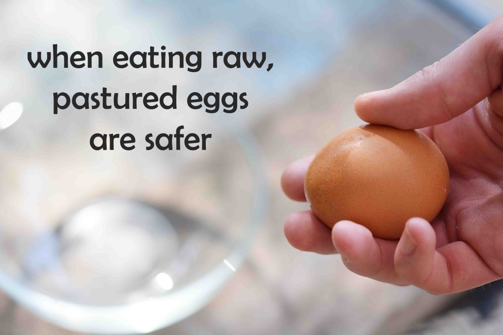 raw pastured egg